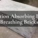 Pollution Absorbing Bricks